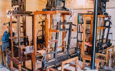 Jacquard japes and George is looking for a new home!