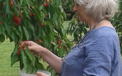 June – and the Good Life!