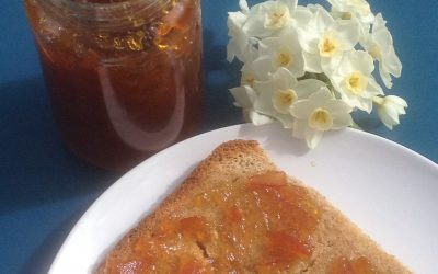 Spring, New Courses, New Skills!