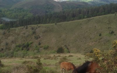 Mountain walking, Rock spotting, and wave watching… Where am I?