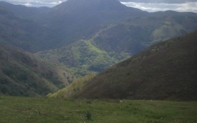 I Want To Be Like You When I Grow Up!